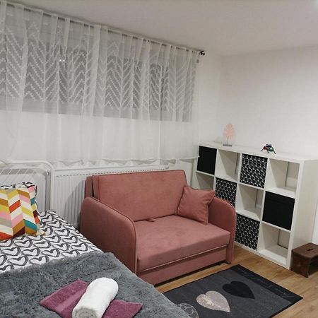 Apartma Juli Zirovnica Extérieur photo