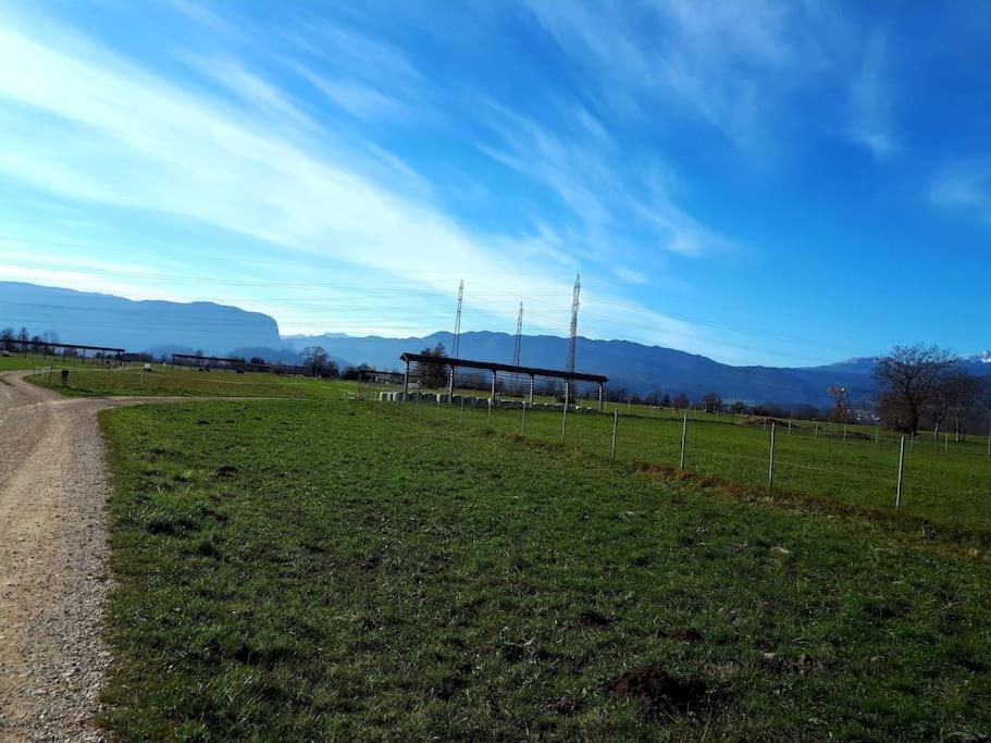 Apartma Juli Zirovnica Extérieur photo