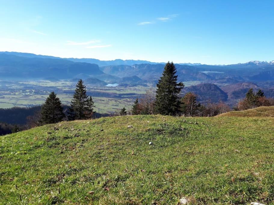 Apartma Juli Zirovnica Extérieur photo